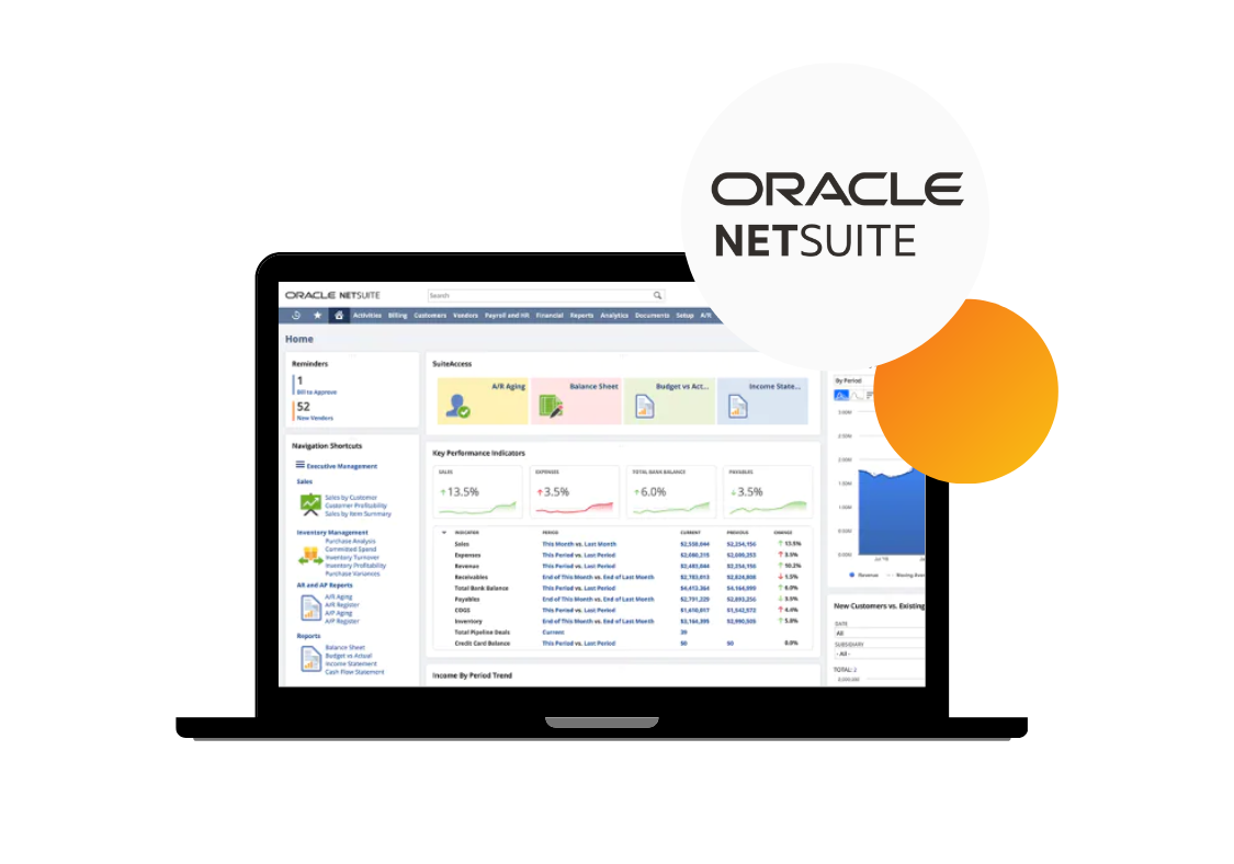 LP - Ways to maximise netsuite (2)